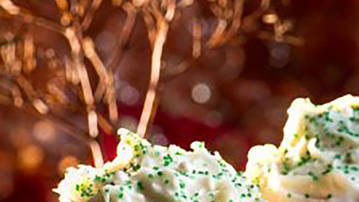 Chai ginger cupcakes with mascarpone frosting.