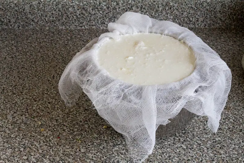 Making Yogurt at Home is Easy. How to at Indiaphile.info