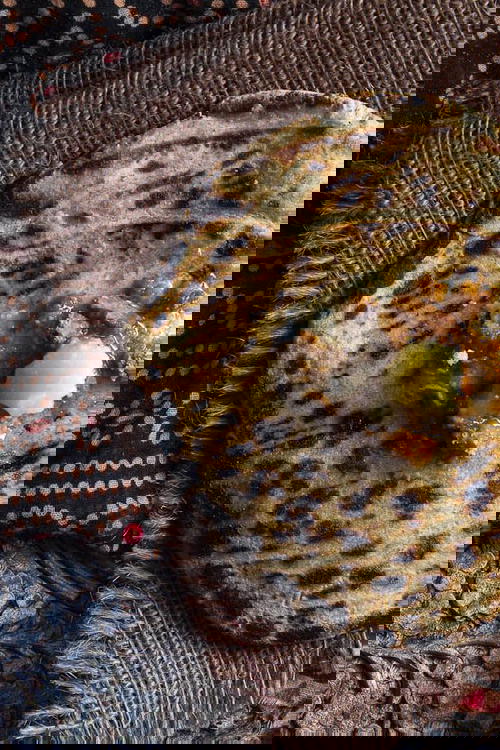 Millet Flat Bread (Bajri no Rotlo)