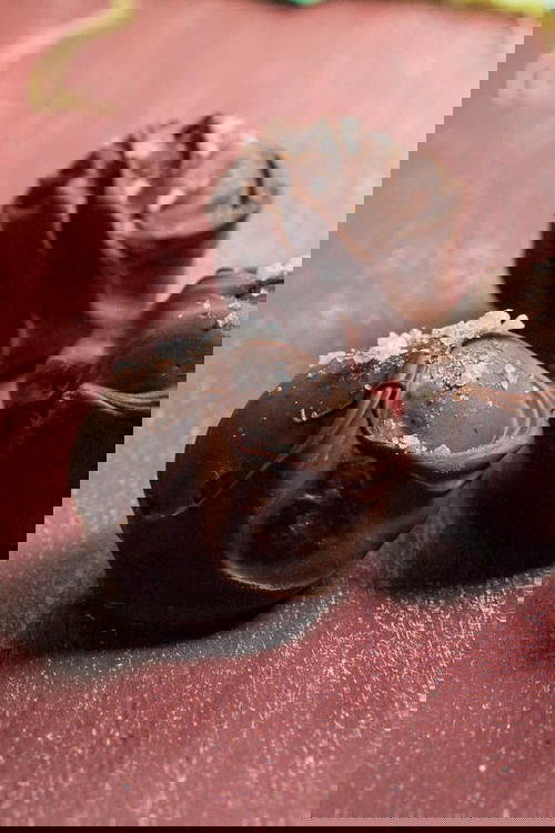 Curry Caramel Truffles with Himalayan Pink Salt