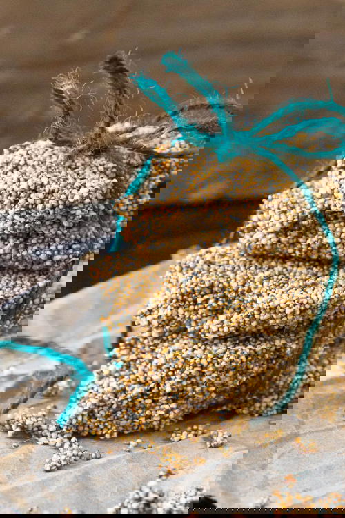 Amaranth Brittle (Rajgira ni Chikki)