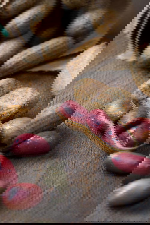 Indian Style Boiled Peanuts