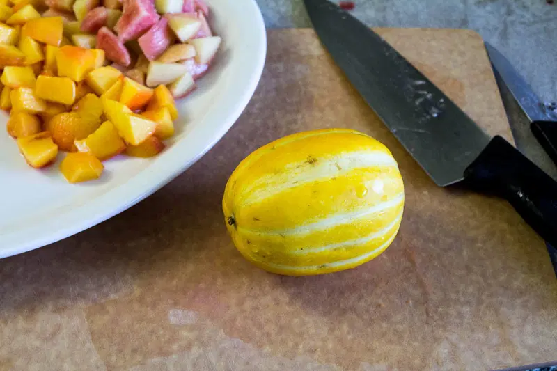 Indian Fruit Salad recipe by Indiaphile.info