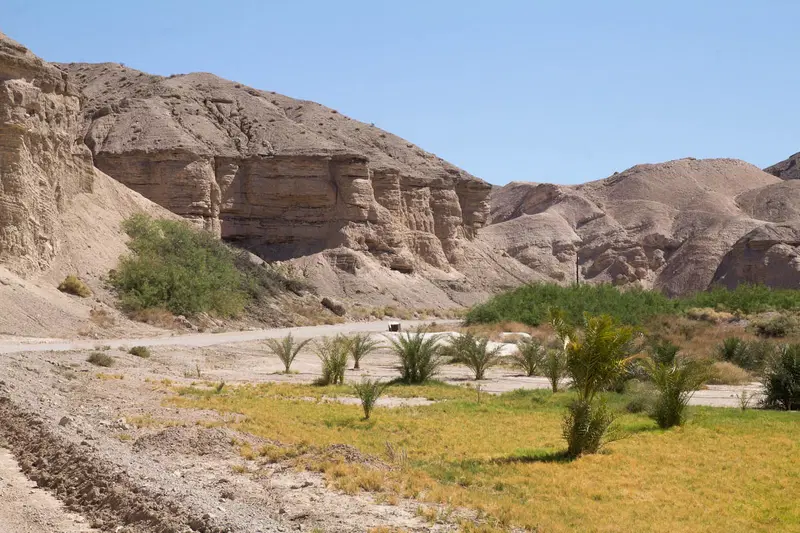 China Ranch Date Farm