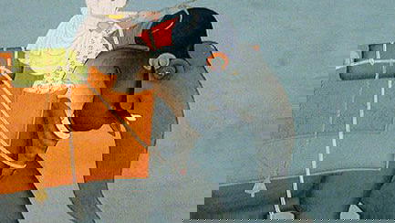 Sangram Singhs elephant Madan Murat