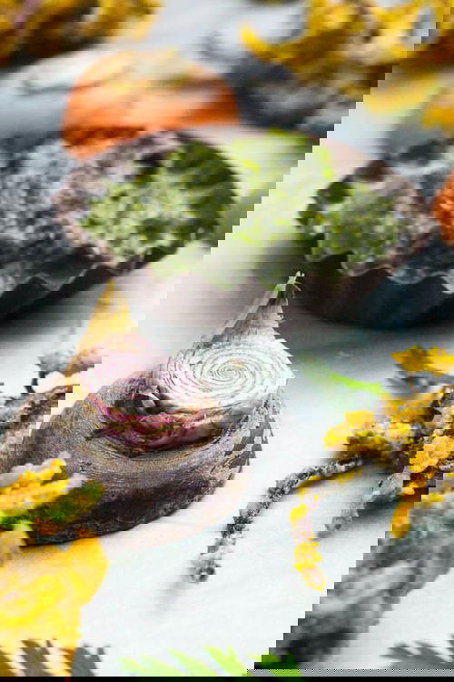 Carrot Bhajia (Carrot Fritters) with Carrot Green Chutney