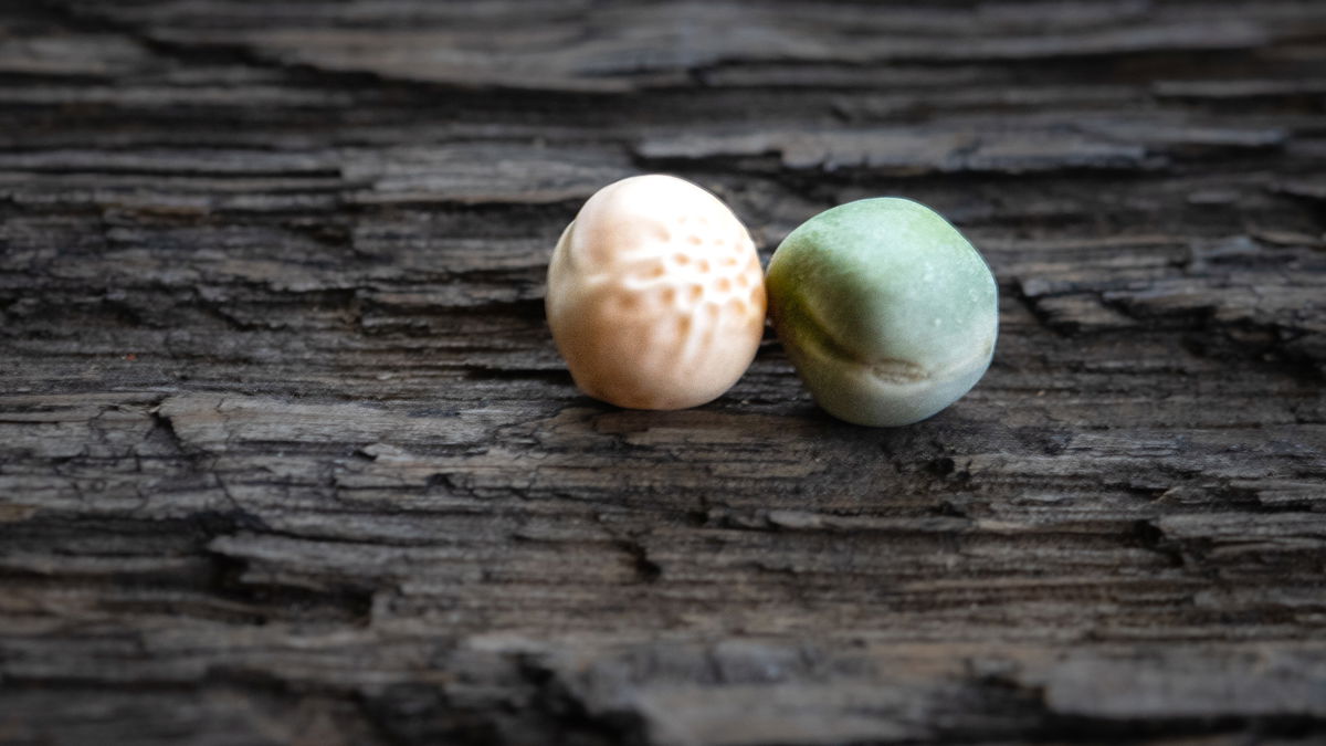 Yellow and green pea comparison