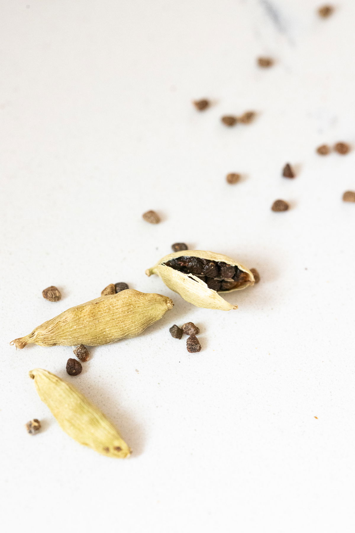 Cardamom pod and seeds