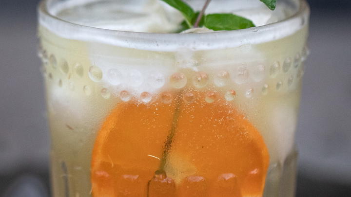 Licorice gin and tonic garnished with mint and tangerine