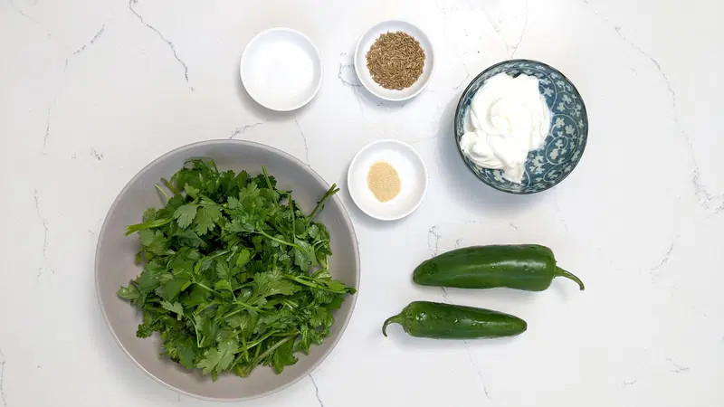 Cilantro yogurt chutney ingredients