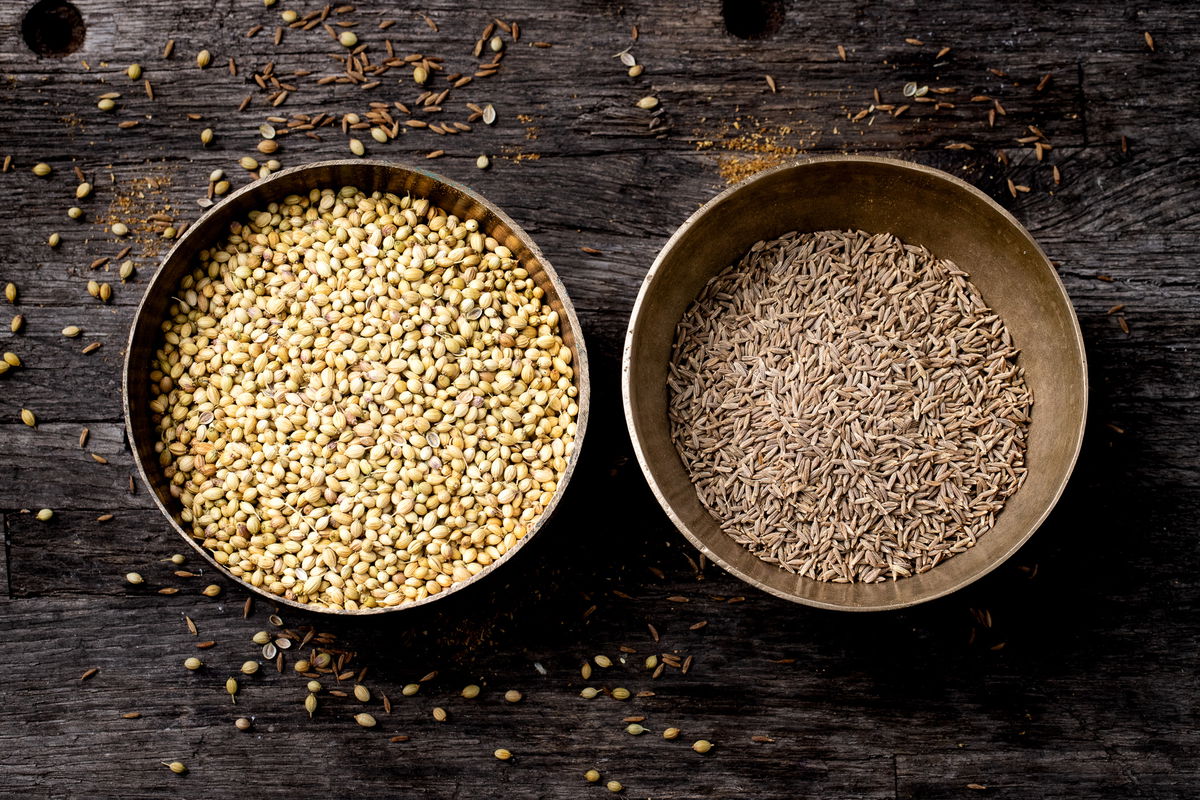 Cumin and coriander, ready to make dhana jeera