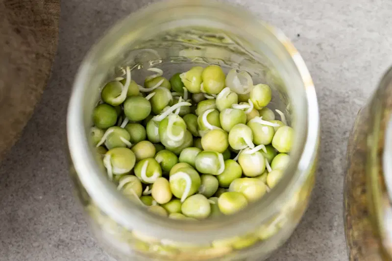 Sprouted green peas