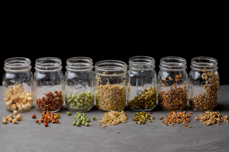 Jar method for sprouting beans