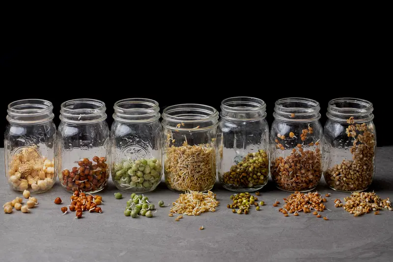 Jar method for sprouting beans