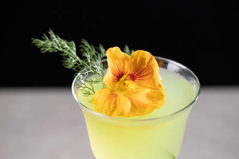 Fennel cocktail, garnished with nasturtium.