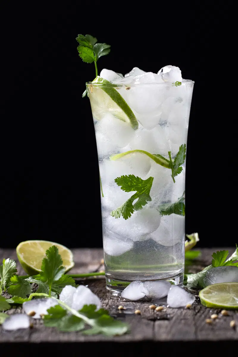Complete cilantro gin and tonic drink.