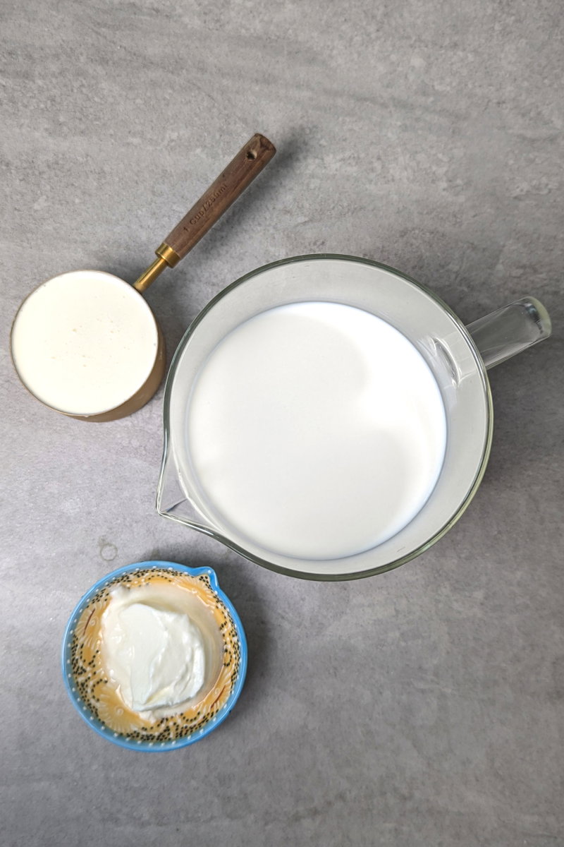 Ingredients for making dahi