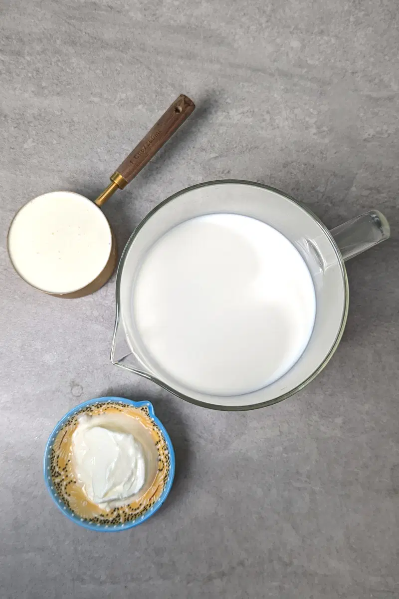 Ingredients for making dahi