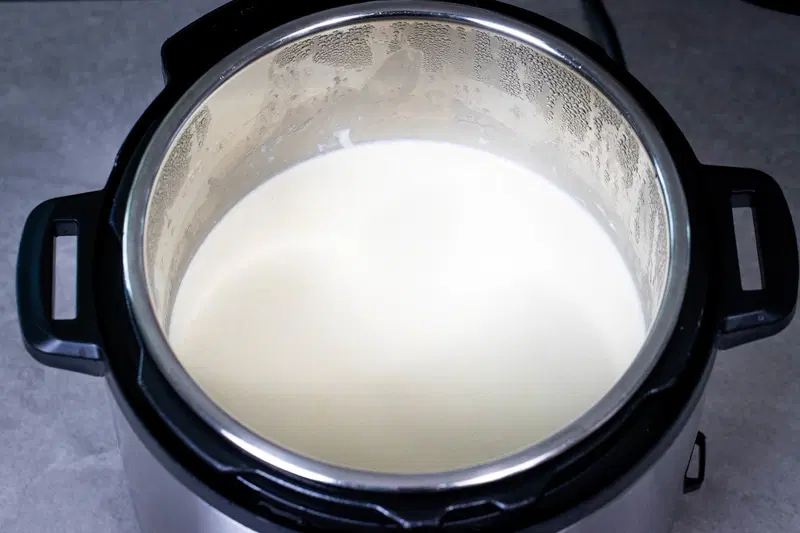 Dahi in the Instant Pot