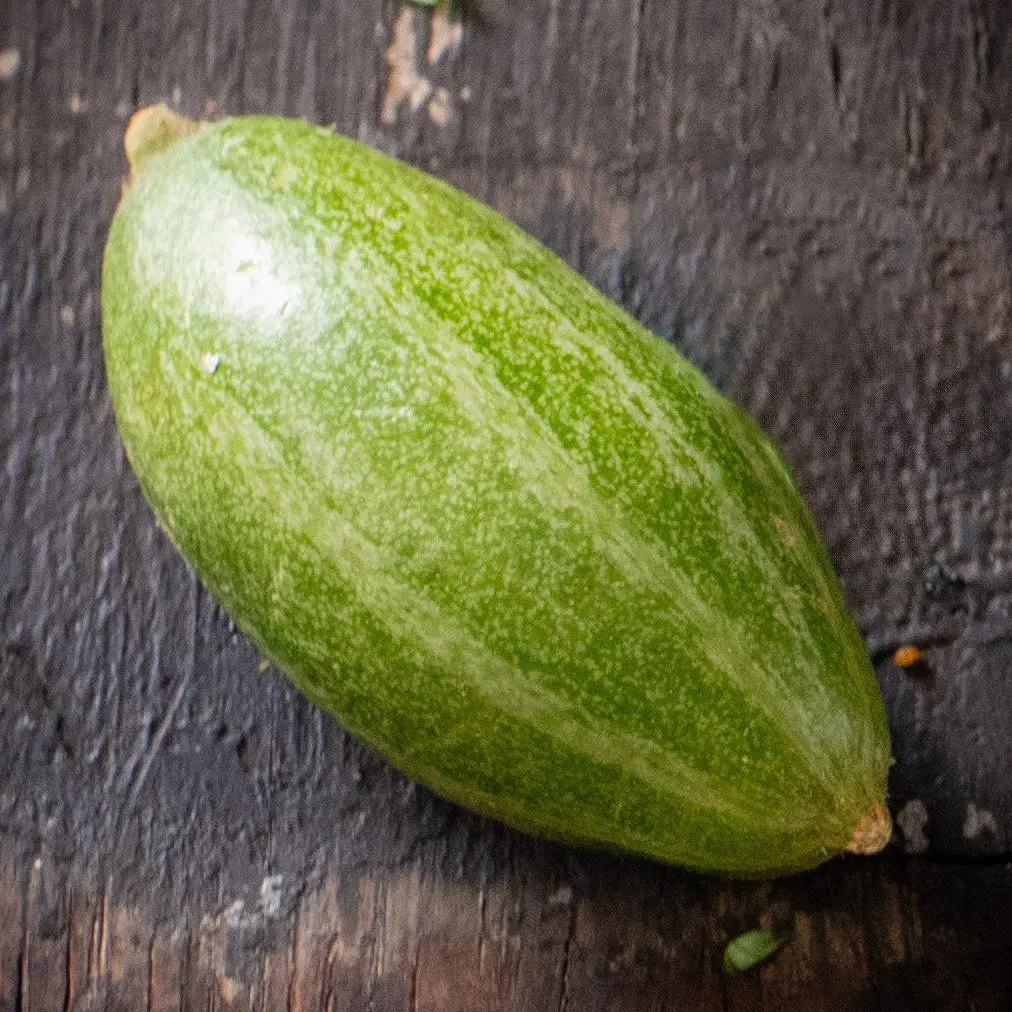 Closeup of a single parval fruit