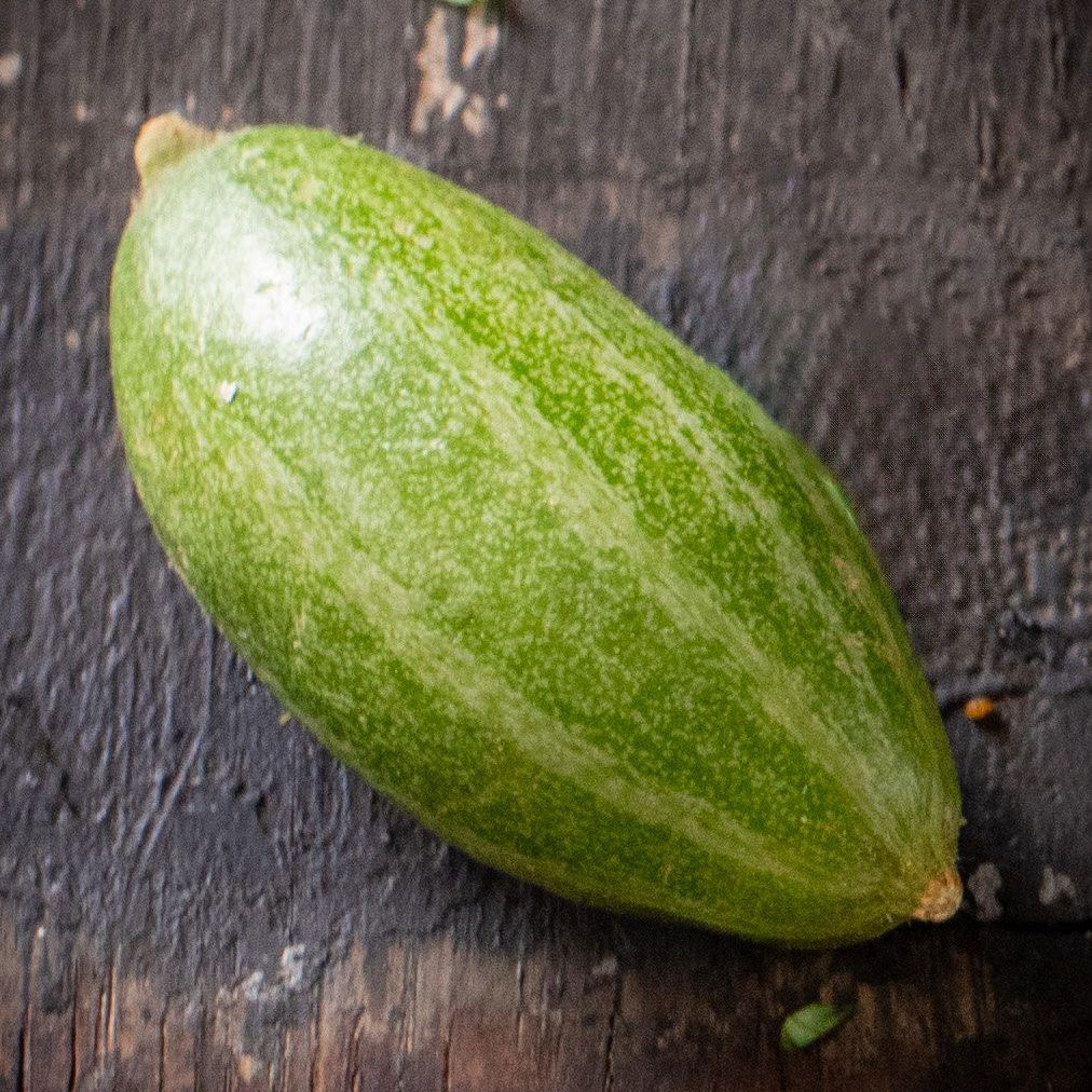 Closeup of a single parval fruit