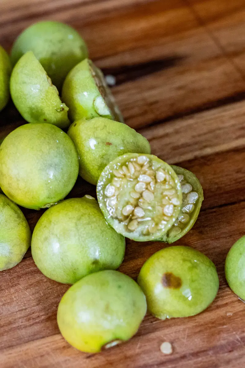Close up of turkey berries.