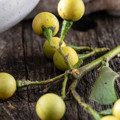 Turkey berries