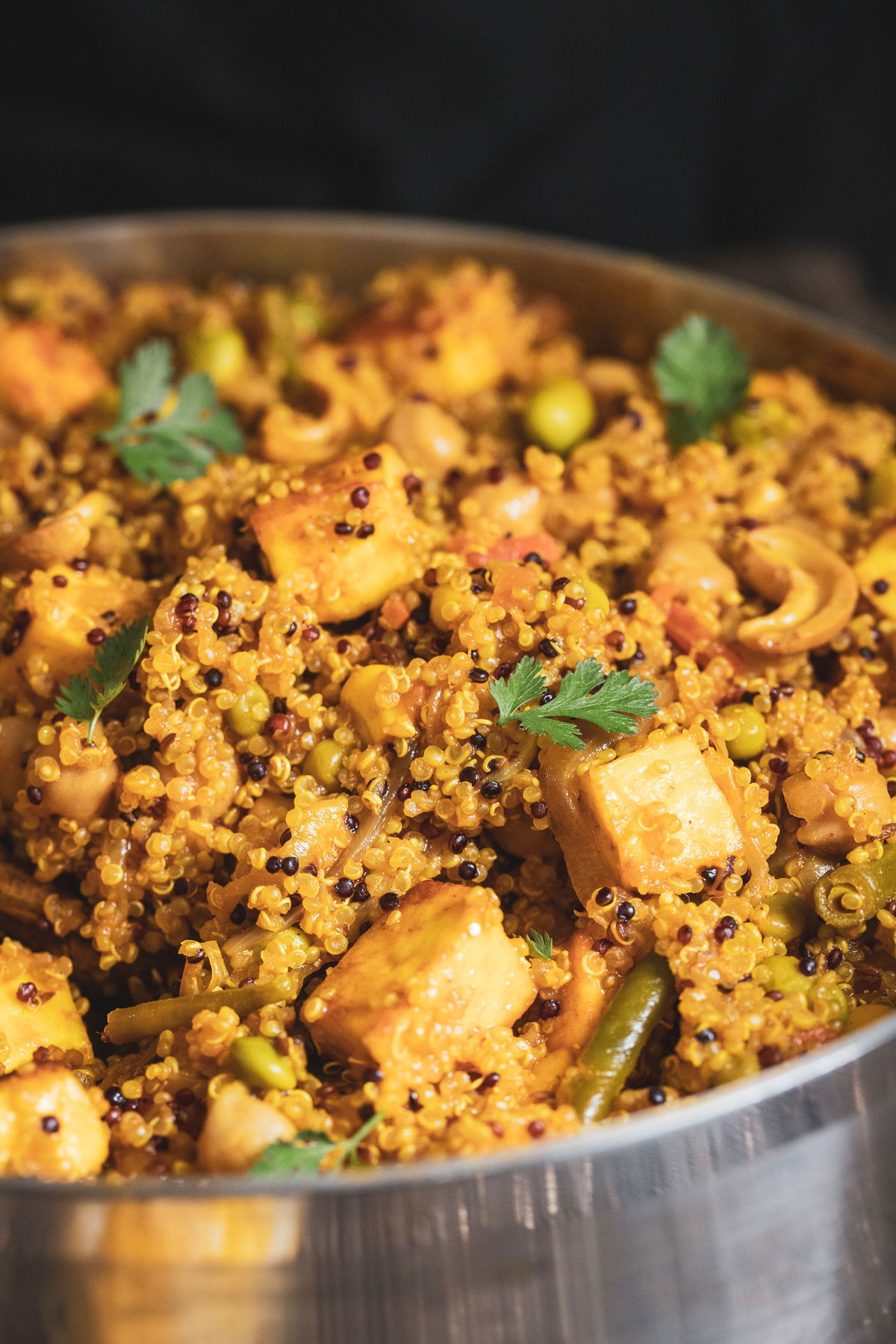 Close up shot of quinoa paneer pulao.
